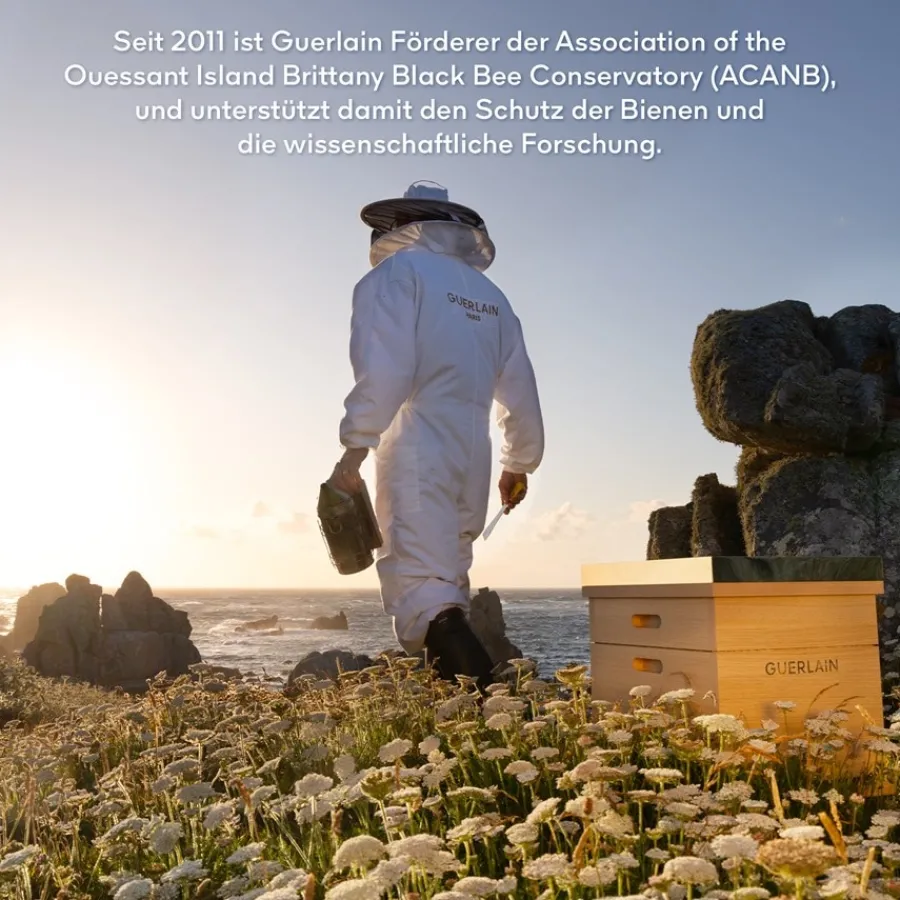 GUERLAIN Abeille Royale Anti Aging Pflege Youth Watery Oil Serum von