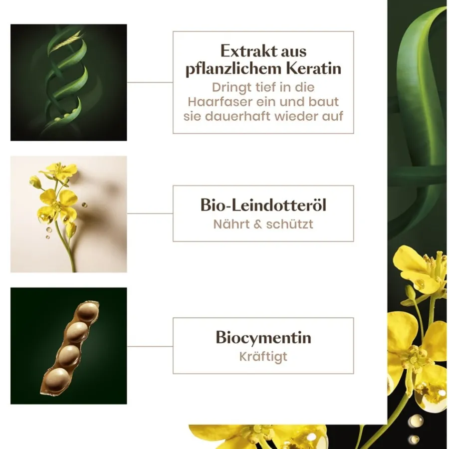 Renu00E9 Furterer Absolue Kératine Aufbauende Haarmaske von René Furterer