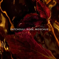 GUERLAIN Absolus Allegoria Eau de Parfum Spray Patchouli Ardent von