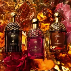 GUERLAIN Absolus Allegoria Eau de Parfum Spray Oud Essential von Discount