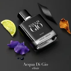 Armani Acqua di Giò Homme Elixir von Hot