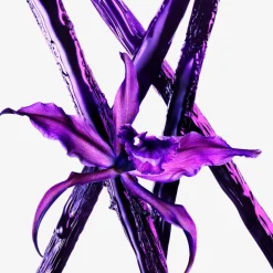 MUGLER Alien Eau de Parfum Spray Intense - nachfüllbar Extraintense von Best