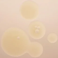 BABOR Ampoule Concentrates Active Purifier 7 Ampoules von Best