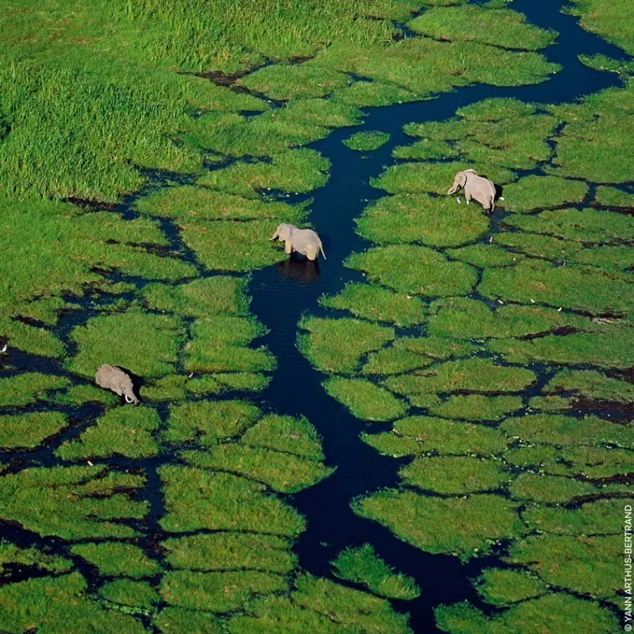 GUERLAIN Aqua Allegoria Eau de Toilette Spray Rosa Verde von