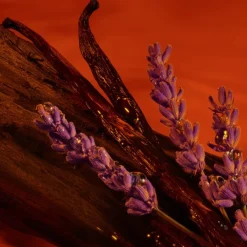 Armani Emporio You Stronger With You Absolutely Parfum Spray New