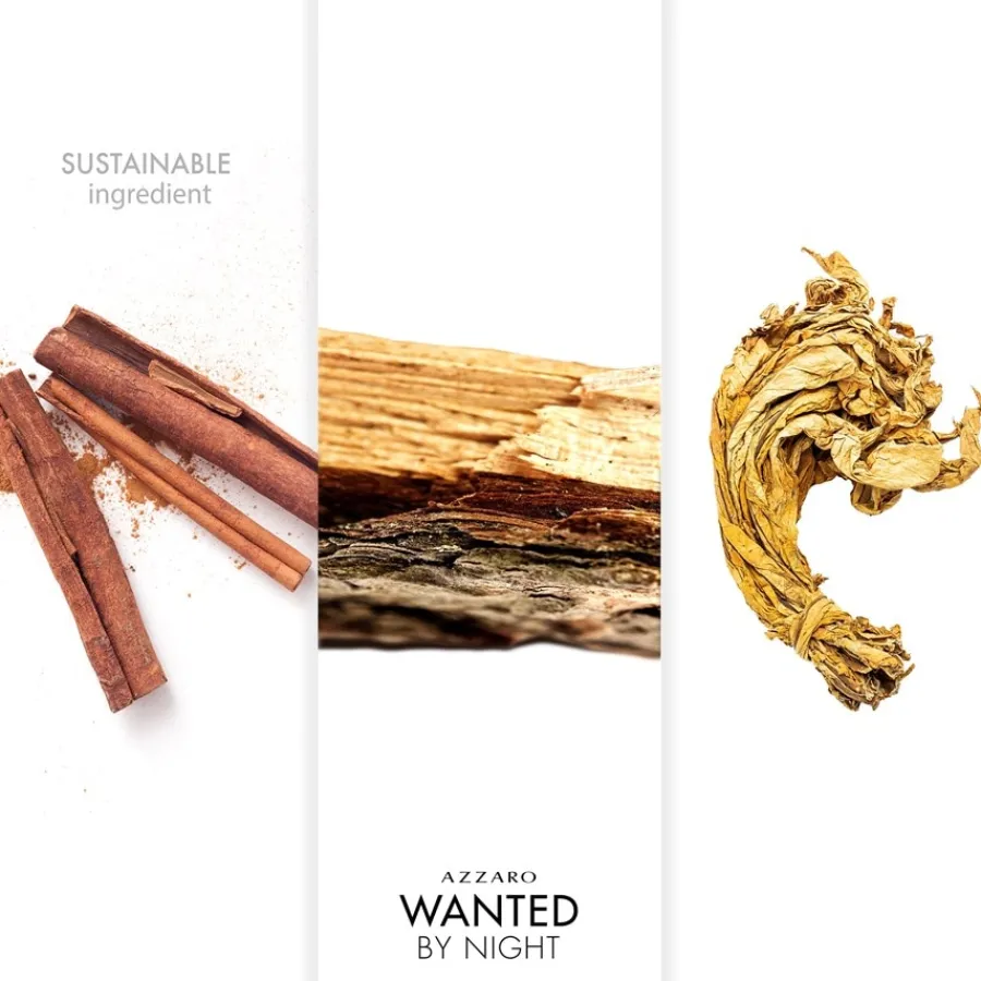 Azzaro Wanted by Night Eau de Parfum Spray Discount