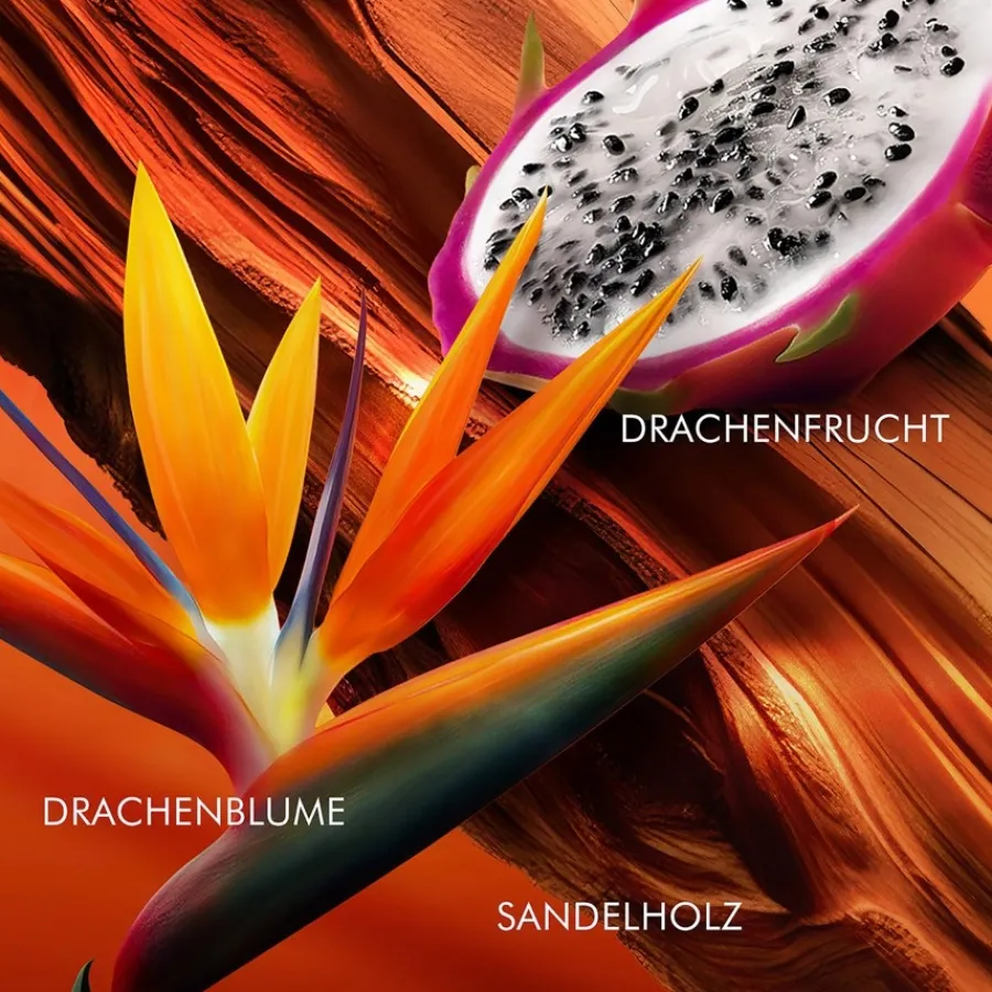 Escada Bali Paradise Eau de Toilette Spray Limited Edition von