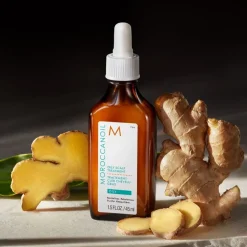 Moroccanoil Behandlung Oily Scalp Treatment von Clearance