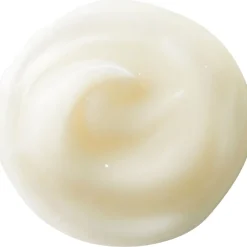 Shiseido Benefiance NutriPerfect Day Cream SPF 15 von Discount