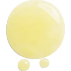 Shiseido Benefiance Wrinkle Smoothing Contour Serum von