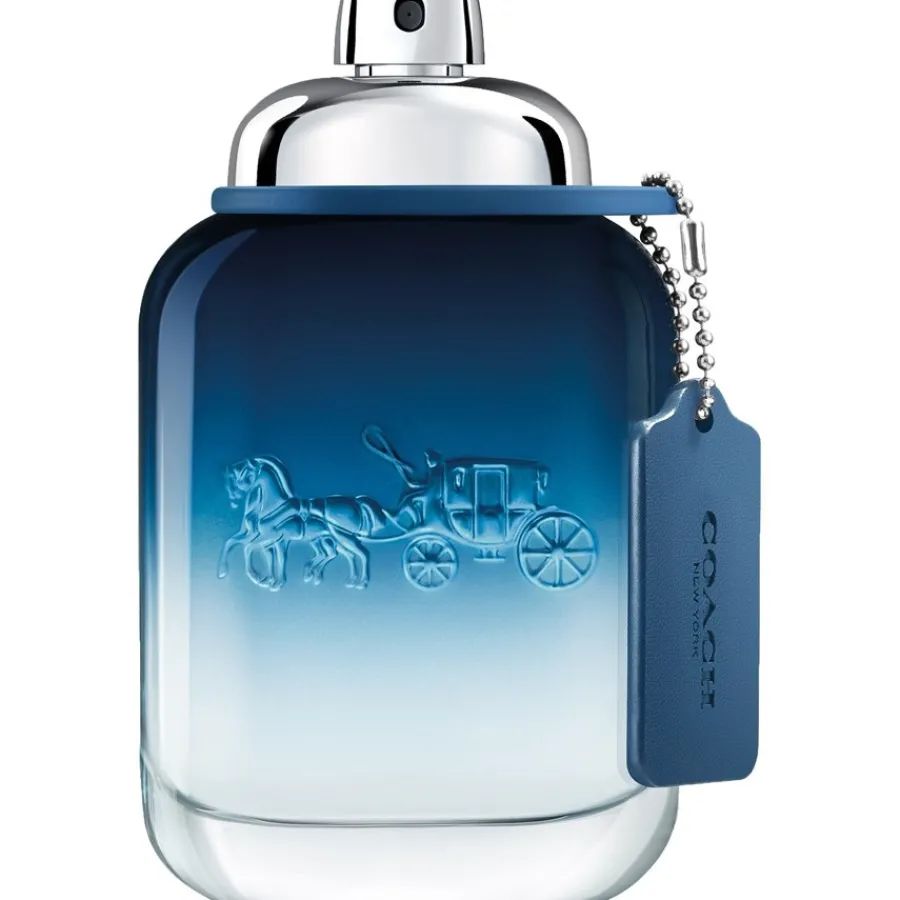 Coach Blue Eau de Toilette Spray von