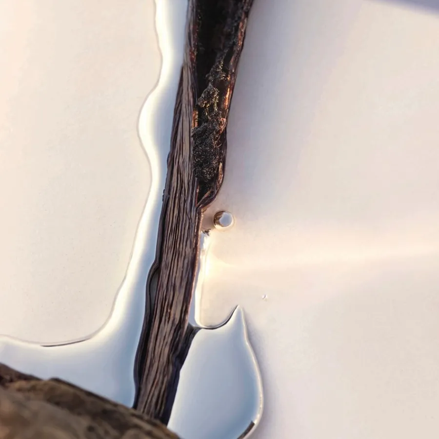 Hugo Boss BOSS Alive Parfum Intense Spray Absolu von Hot