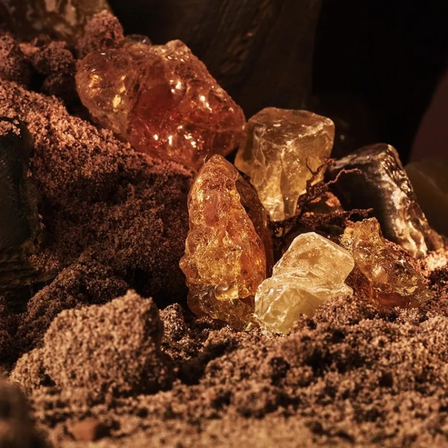 Bvlgari MAN Terrae Essence Eau de Parfum Spray