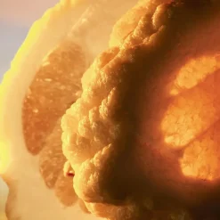 Bvlgari MAN Terrae Essence Eau de Parfum Spray