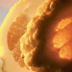 Bvlgari MAN Terrae Essence Eau de Parfum Spray