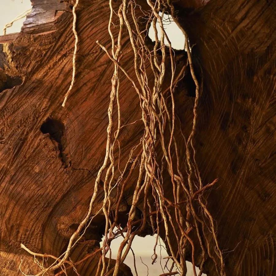 Bvlgari MAN Terrae Essence Eau de Parfum Spray