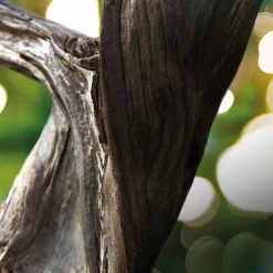 Bvlgari MAN Wood Essence Eau de Parfum Spray