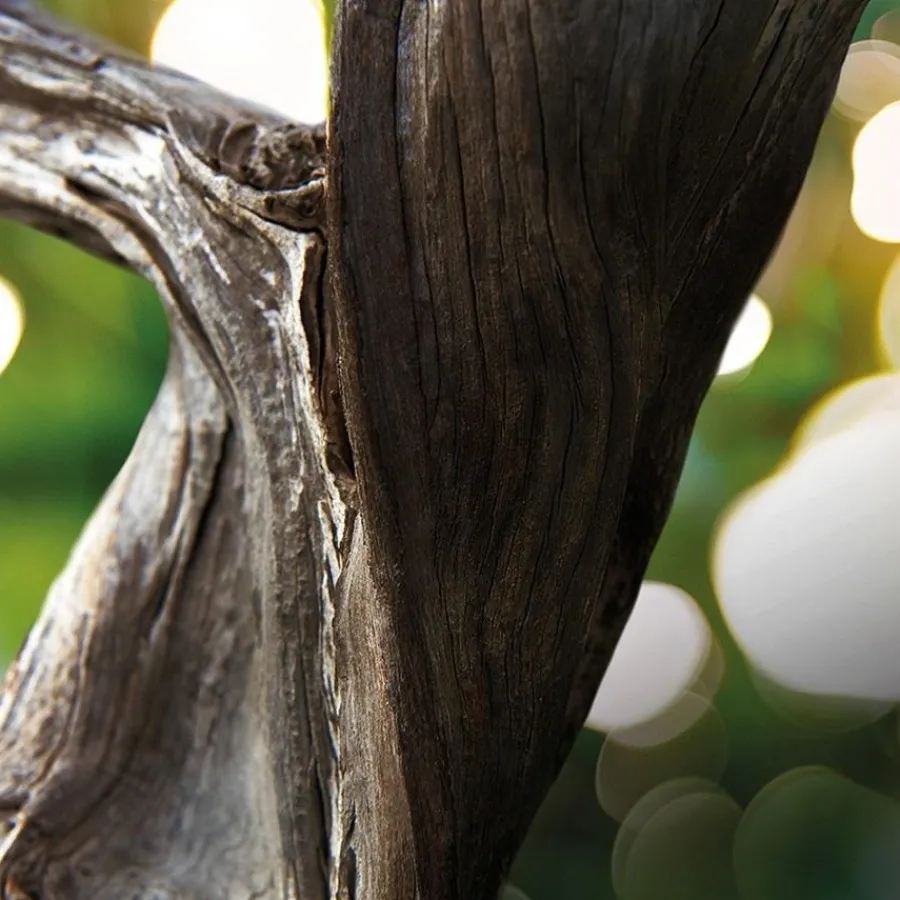 Bvlgari MAN Wood Essence Eau de Parfum Spray