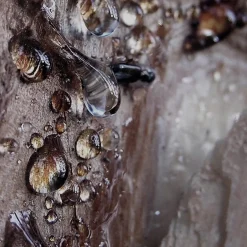 Bvlgari MAN Wood Essence Eau de Parfum Spray