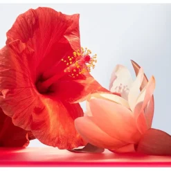 Bvlgari Omnia Coral Eau de Toilette Spray