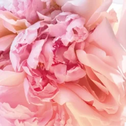 Bvlgari Rose Goldea Blossom Delight Eau de Toilette Spray