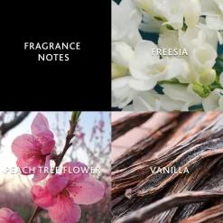 Christina Aguilera By Night Fine Fragrance Mist von Discount