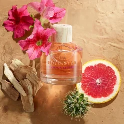 Hollister Canyon Escape Eau de Parfum Spray von