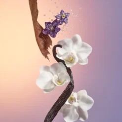 Sol de Janeiro Cheirosa 59 Delícia Drench Rio Deo von Best