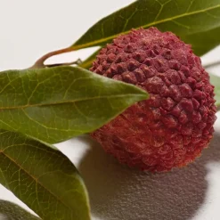 Chlou00E9 Chloé Body Cream von Chloé