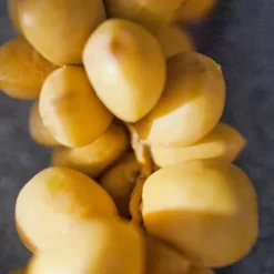 Chlou00E9 Chloé Nomade Jasmin Naturel Intense  Eau de Parfum Spray Intense