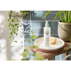 Christophe Robin Hydrating Leave-In Mist with Aloe Vera Online