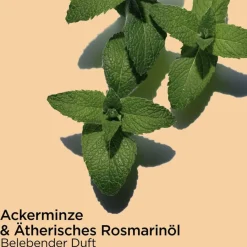 CLARINS Bain aux Plantes "Tonic"