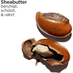 CLARINS Crème Jeunesse des Mains Discount