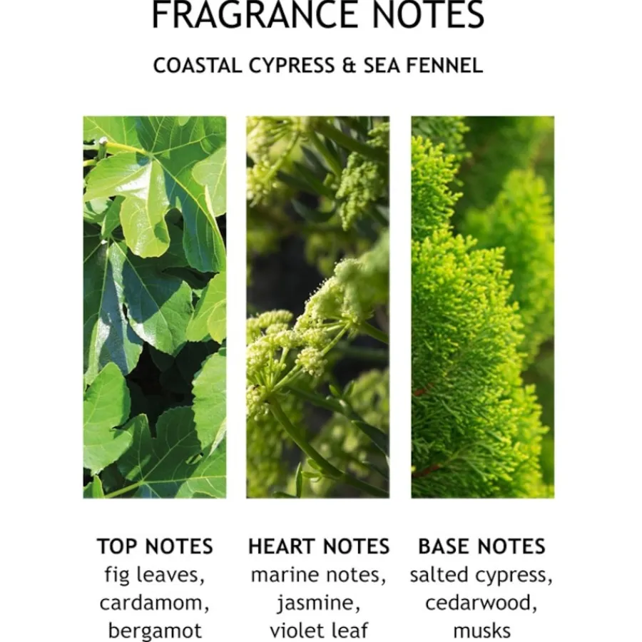 Molton Brown Coastal Cypress & Sea Fennel Bath & Shower Gel von Online