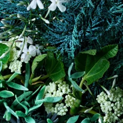 Molton Brown Coastal Cypress & Sea Fennel Bath & Shower Gel von Online