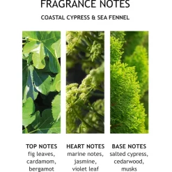 Molton Brown Coastal Cypress & Sea Fennel Bath & Shower Gel von Online