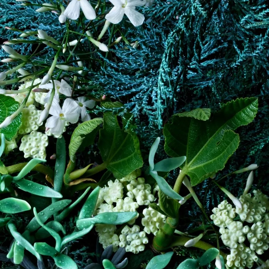 Molton Brown Coastal Cypress & Sea Fennel Bath & Shower Gel von Online