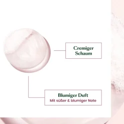 Renu00E9 Furterer Color Glow Farbschutz Shampoo von René Furterer Sale