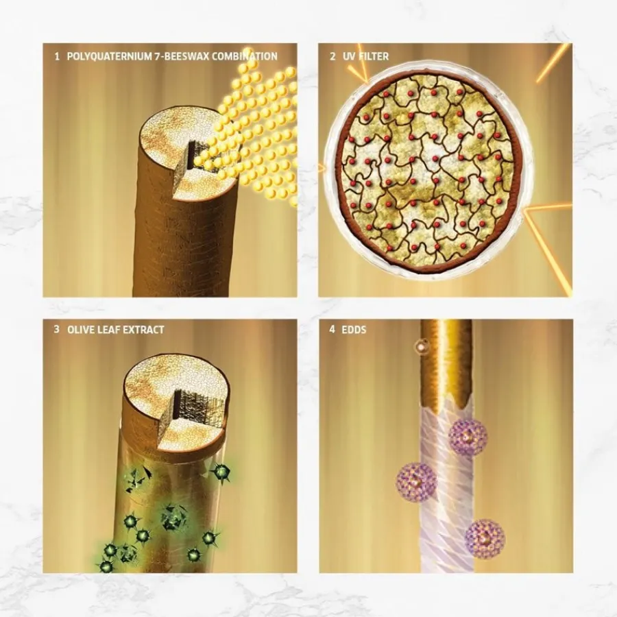 Wella Color Save Color Save Shampoo von