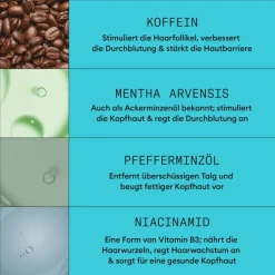 Nioxin Coloriertes, dezent dünner werdendes Haar 3-Step-System Set Colored Hair Light Thinning von