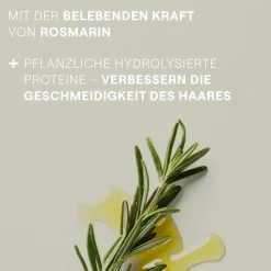 Weleda Conditioner Vitalisierende Rosmarin-Spülung Nährt und verleiht einen natürlichen Glanz  von Outlet