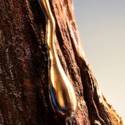 Davidoff Cool Elixir for Men Deodorant Spray von New