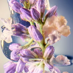 Davidoff Cool Elixir for Men Deodorant Spray von New