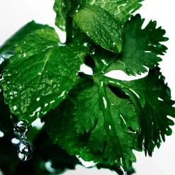 Davidoff Cool Water Eau de Toilette Spray von Best