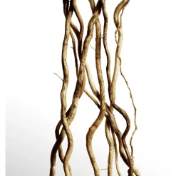 Davidoff Cool Water Parfum von Hot