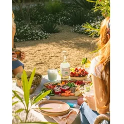 Coola Classic Sunscreen Spray SPF 50 Fragrance Free Sale