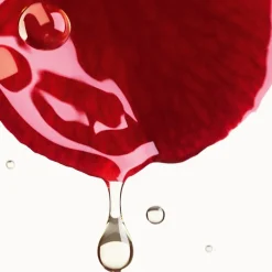 CHANEL CREME N°1 DE CREME MIT ROTER KAMELIE Polstert auf – glättet – schützt von