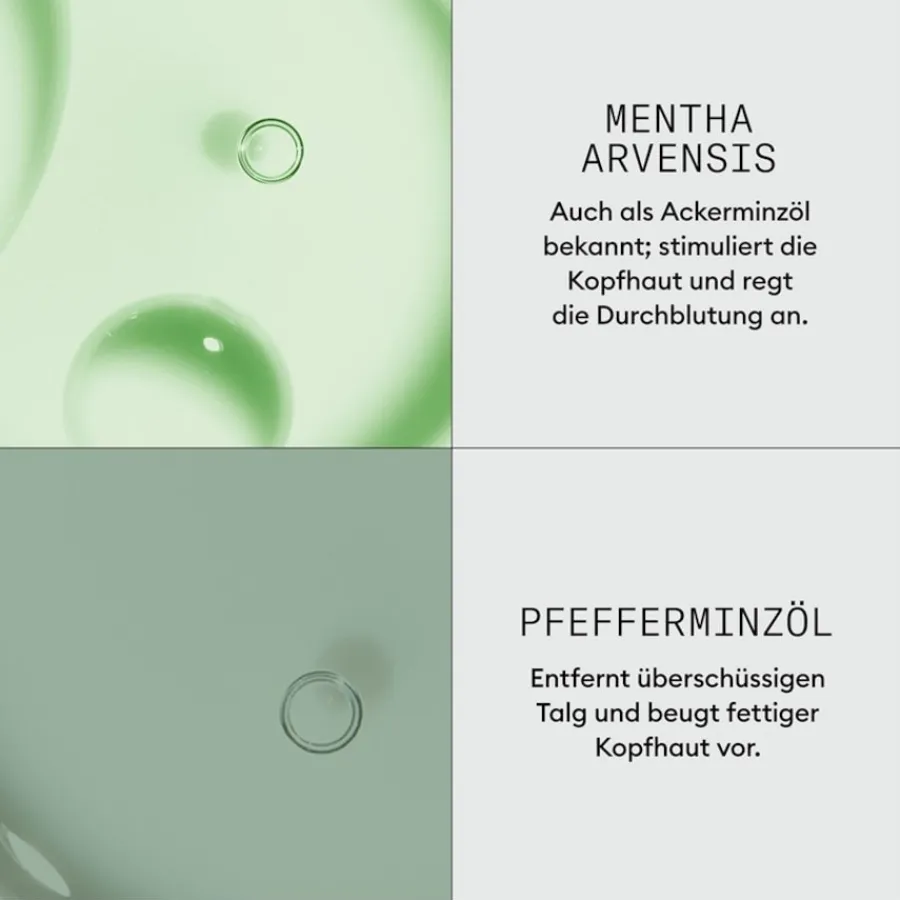 Nioxin 3D Expert Dermabrasion Scalp Renew Treatment von