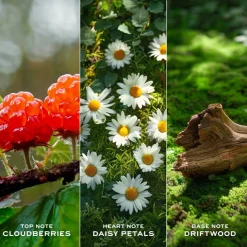 Marc Jacobs Daisy Love Eau de Toilette Spray von