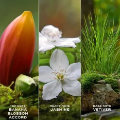 Marc Jacobs Daisy Wild Eau de Parfum Spray von Clearance